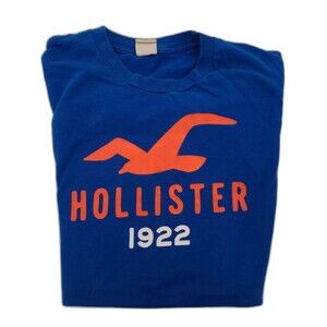 Vtg Y2k Hollister California t-shirt 1922  Surf